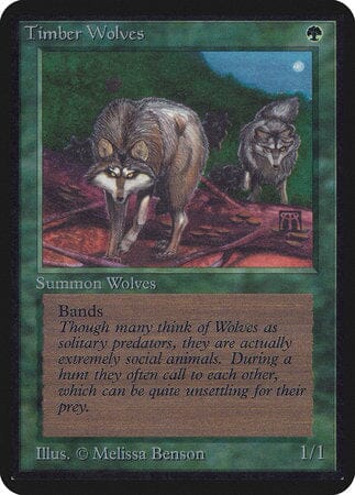 Timber Wolves [Limited Edition Alpha] MTG Single Magic: The Gathering  | Multizone: Comics And Games