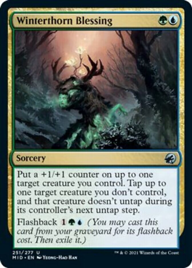 Winterthorn Blessing [Innistrad: Midnight Hunt] MTG Single Magic: The Gathering  | Multizone: Comics And Games