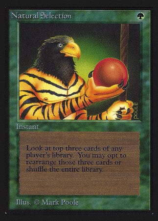 Natural Selection (CE) [Collectors’ Edition] MTG Single Magic: The Gathering  | Multizone: Comics And Games