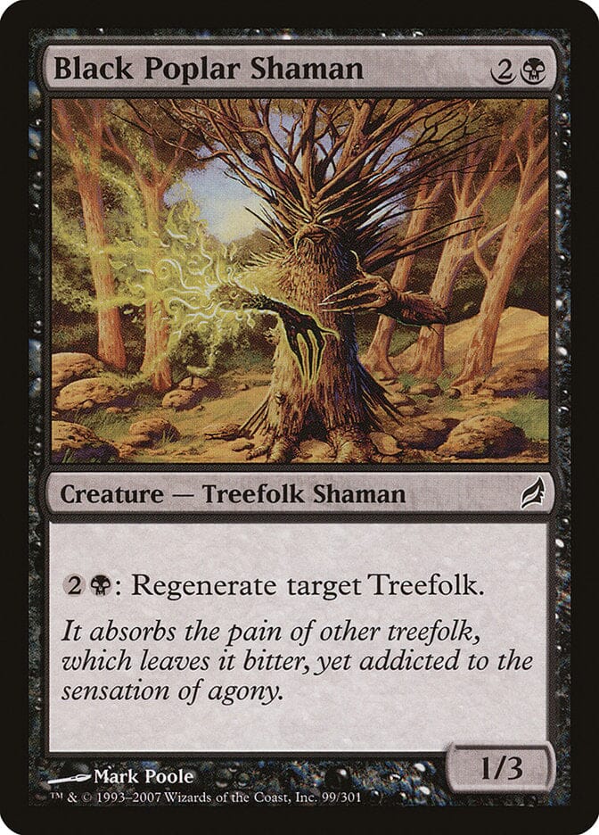 Black Poplar Shaman [Lorwyn] MTG Single Magic: The Gathering  | Multizone: Comics And Games