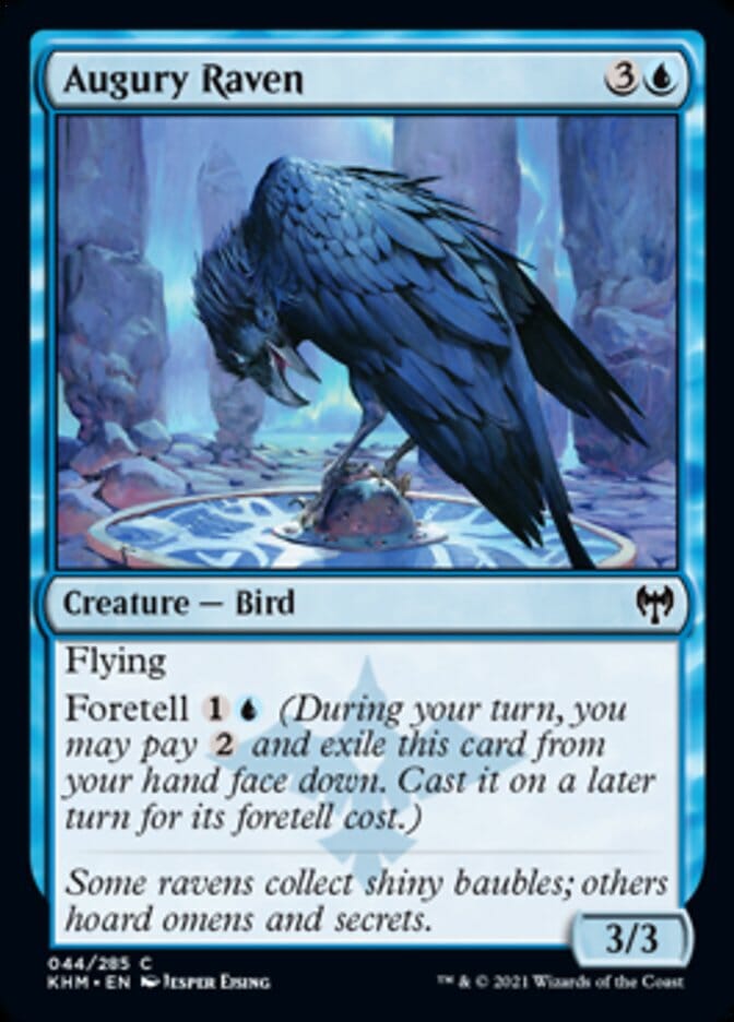 Augury Raven [Kaldheim] MTG Single Magic: The Gathering  | Multizone: Comics And Games