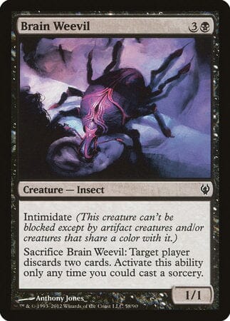 Brain Weevil [Duel Decks: Izzet vs. Golgari] MTG Single Magic: The Gathering  | Multizone: Comics And Games