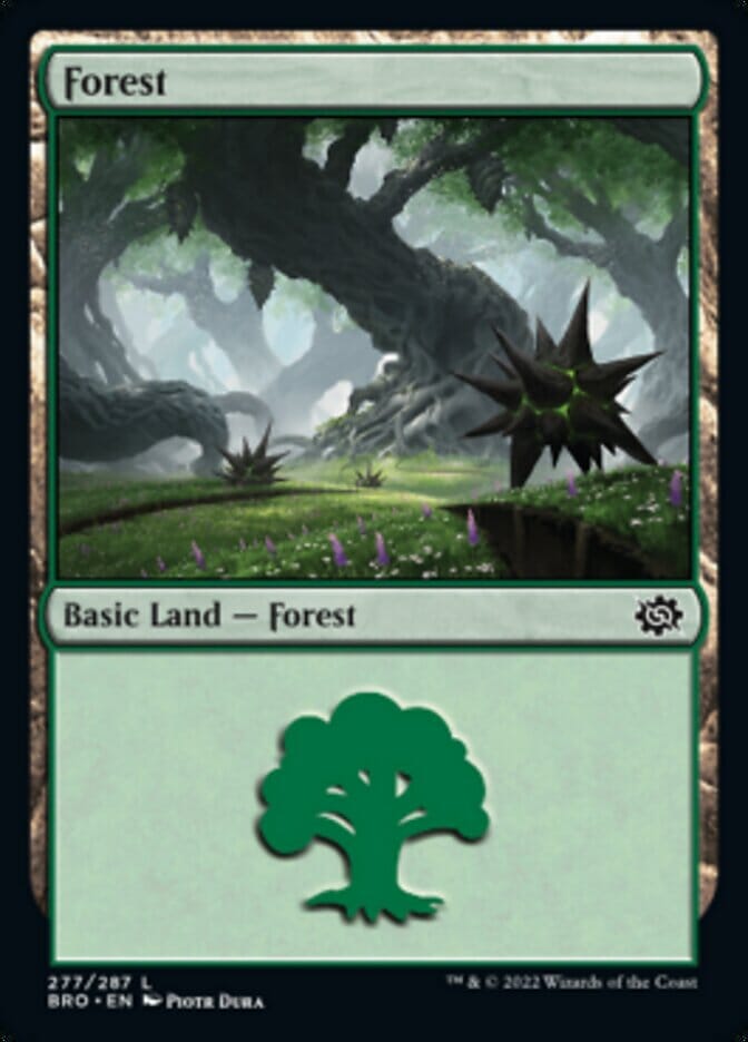 Forest (277) [The Brothers' War] MTG Single Magic: The Gathering  | Multizone: Comics And Games