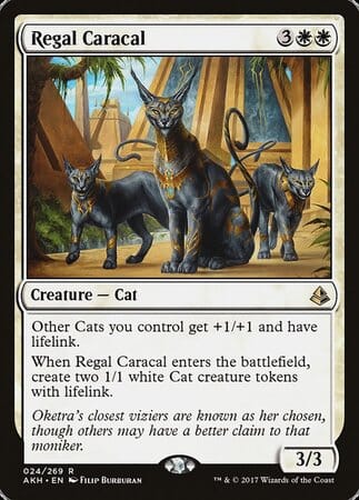 Regal Caracal [Amonkhet] MTG Single Magic: The Gathering  | Multizone: Comics And Games