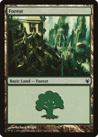 Forest (90) [Duel Decks: Izzet vs. Golgari] MTG Single Magic: The Gathering  | Multizone: Comics And Games