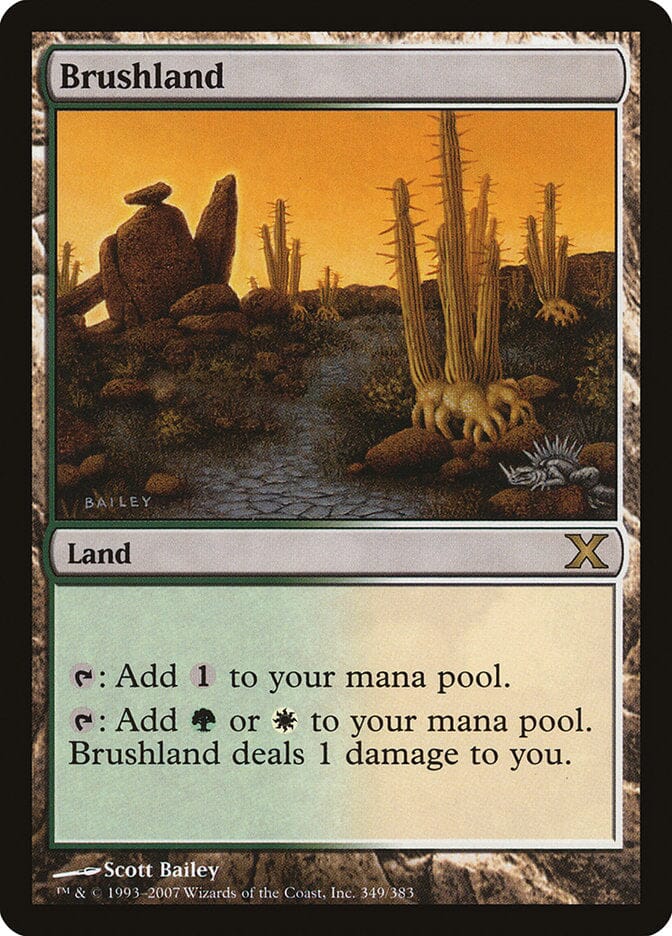 Brushland [Tenth Edition] MTG Single Magic: The Gathering  | Multizone: Comics And Games