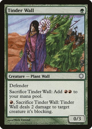 Tinder Wall [Coldsnap Theme Decks] MTG Single Magic: The Gathering  | Multizone: Comics And Games