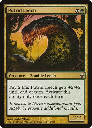 Putrid Leech [Duel Decks: Izzet vs. Golgari] MTG Single Magic: The Gathering  | Multizone: Comics And Games