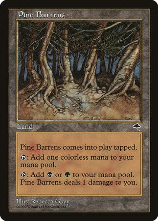 Pine Barrens [Tempest] MTG Single Magic: The Gathering  | Multizone: Comics And Games