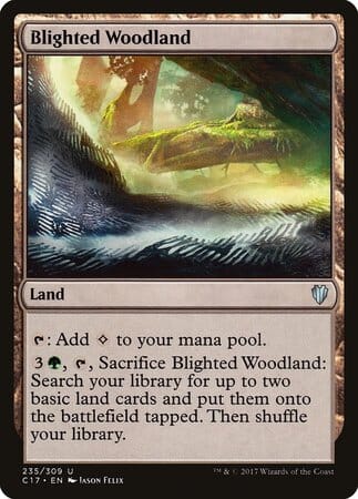 Blighted Woodland [Commander 2017] MTG Single Magic: The Gathering  | Multizone: Comics And Games