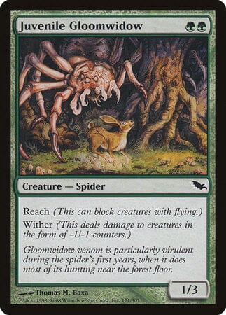 Juvenile Gloomwidow [Shadowmoor] MTG Single Magic: The Gathering  | Multizone: Comics And Games