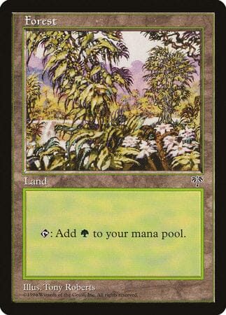 Forest (White Flowers Right) [Mirage] MTG Single Magic: The Gathering  | Multizone: Comics And Games