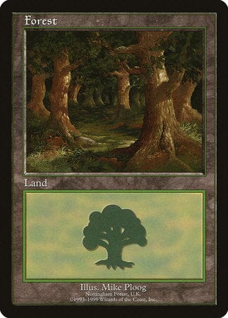 Forest - Nottingham [European Land Program] MTG Single Magic: The Gathering  | Multizone: Comics And Games