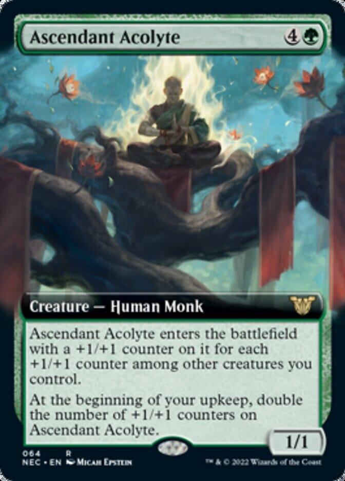 Ascendant Acolyte (Extended) [Kamigawa: Neon Dynasty Commander] MTG Single Magic: The Gathering  | Multizone: Comics And Games