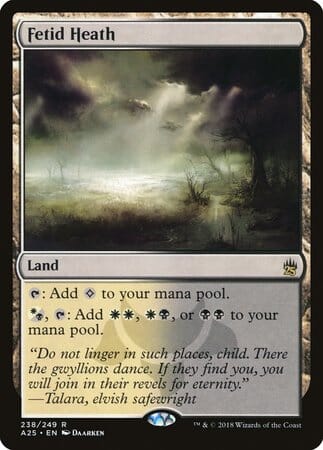 Fetid Heath [Masters 25] MTG Single Magic: The Gathering  | Multizone: Comics And Games