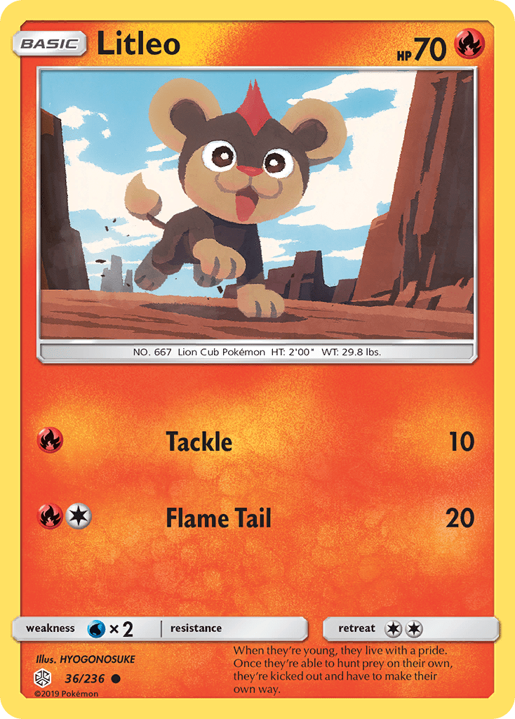 Litleo (36/236) [Sun & Moon: Cosmic Eclipse] Pokemon Single Pokémon  | Multizone: Comics And Games