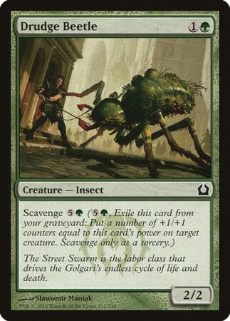 Drudge Beetle [Return to Ravnica] MTG Single Magic: The Gathering  | Multizone: Comics And Games