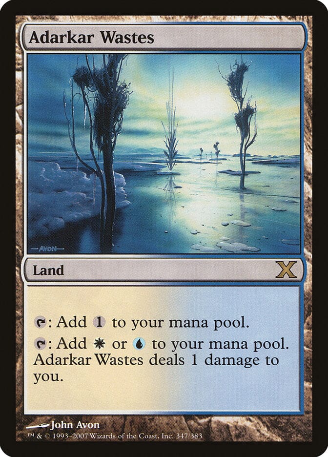 Adarkar Wastes [Tenth Edition] MTG Single Magic: The Gathering  | Multizone: Comics And Games