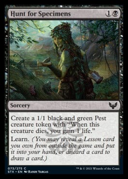 Hunt for Specimens [Strixhaven: School of Mages] MTG Single Magic: The Gathering  | Multizone: Comics And Games