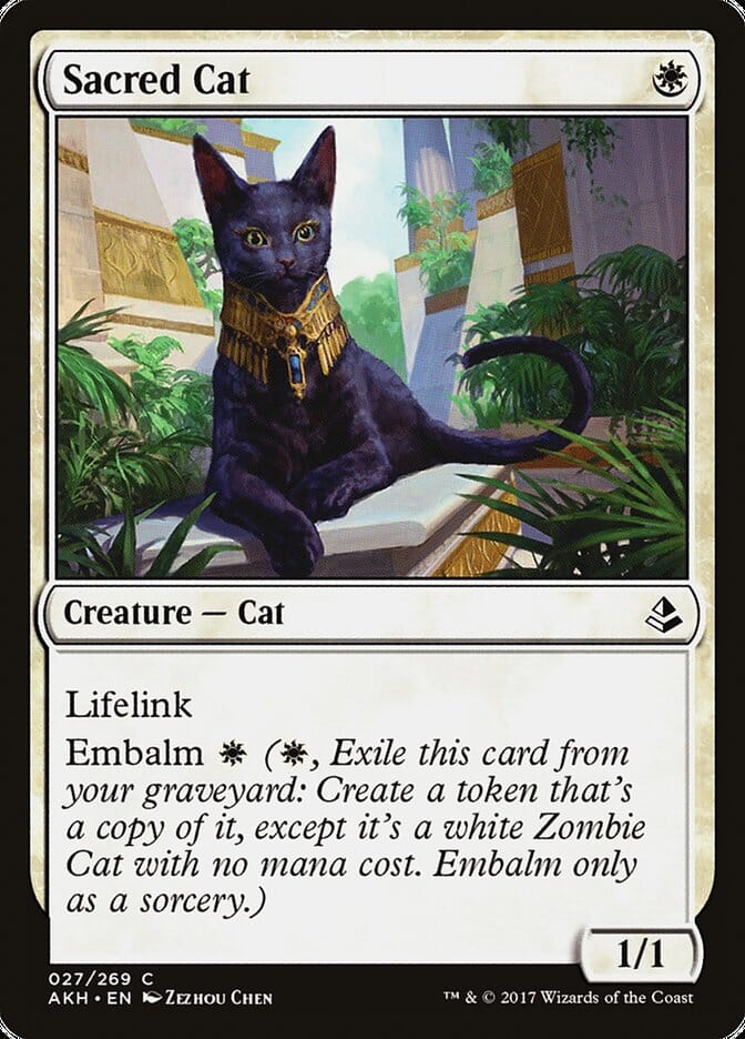 Sacred Cat [Amonkhet] MTG Single Magic: The Gathering  | Multizone: Comics And Games
