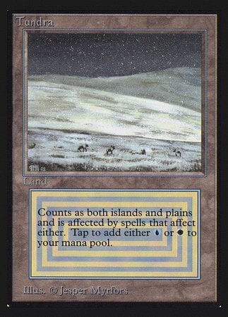 Tundra (IE) [Intl. Collectors’ Edition] MTG Single Magic: The Gathering  | Multizone: Comics And Games