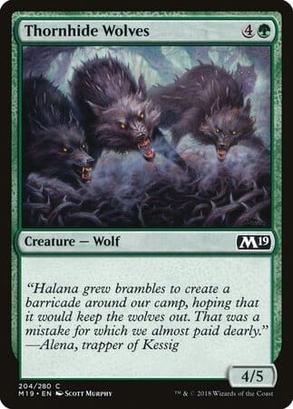 Thornhide Wolves [Core Set 2019] MTG Single Magic: The Gathering  | Multizone: Comics And Games