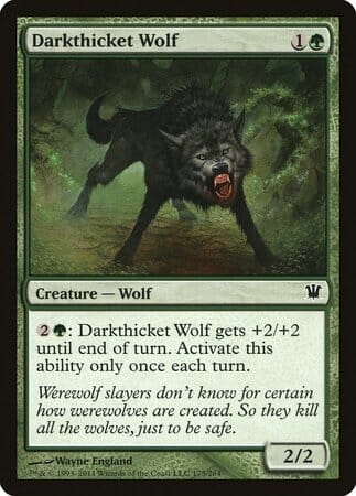 Darkthicket Wolf [Innistrad] MTG Single Magic: The Gathering  | Multizone: Comics And Games